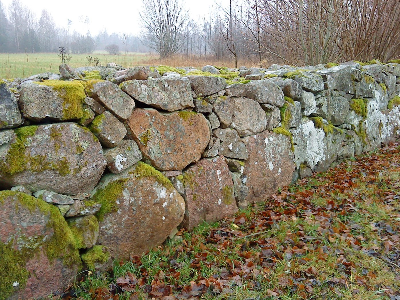 Typowy Småland-owy (nazwa prowincji wokół Lammhult) kamienny mur.